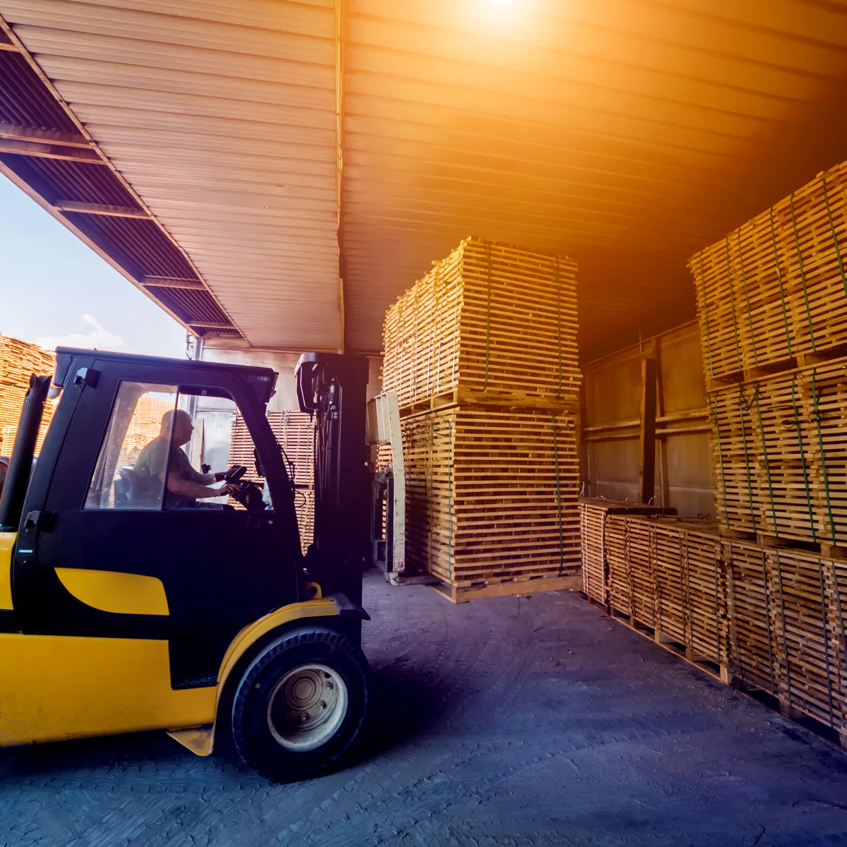 A forklift moving through a warehouse stacked high with lumber, lit by low sun